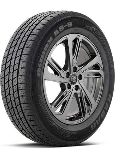 Radar Dimax AS-8 255/55R20 - fits 2025 Chevrolet Traverse